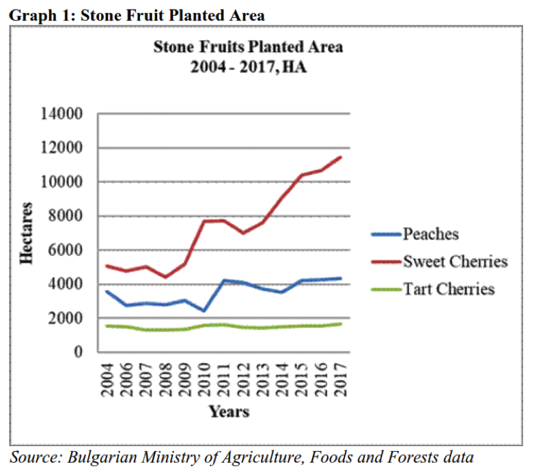 Bulgaria’s stone fruit production rises 20%