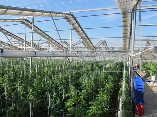 Hail and rain damage tomato and pepper greenhouses in Turkey