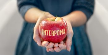 Interpoma 2018, everything revolves around apples in Bolzano