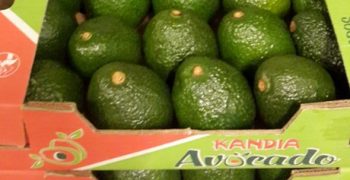 Kenyan fruit to gain access to Chinese market