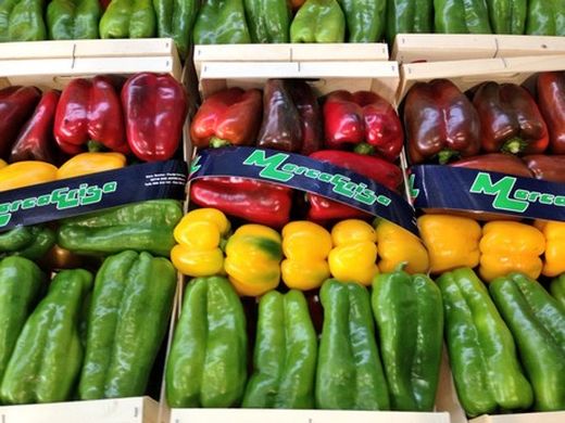 Murcia’s pepper production continues to grow at 5% annually