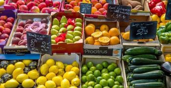 Ukraine’s fruit exports rise 40%