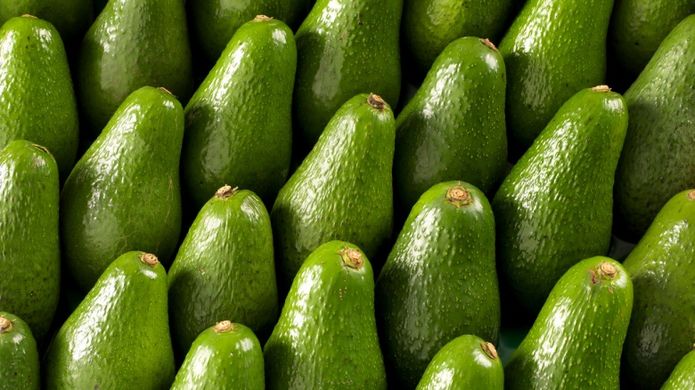 Australian avocado production booming