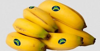 Banana exports to the EU and US rise in 2018