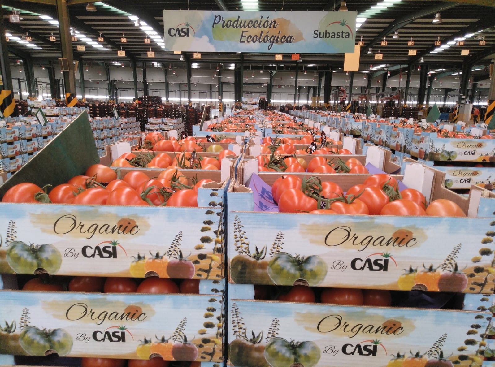 CASI redoubles commitment to organic farming this campaign