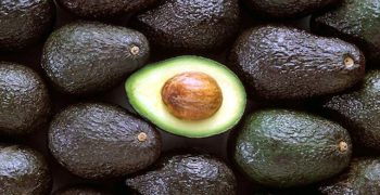 Chile’s avocado exports plummet 58.3% in 2018/19