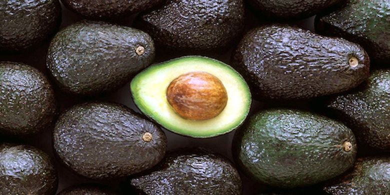 Chile’s avocado exports plummet 58.3% in 2018/19