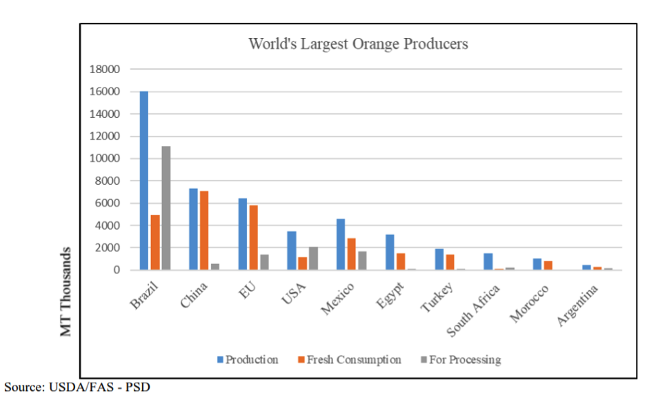 Egypt’s orange exports climb 7%