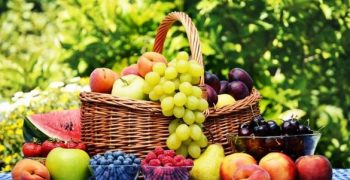 Organic fruit production climbs sharply in Spain and France