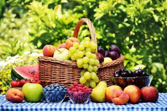 Organic fruit production climbs sharply in Spain and France