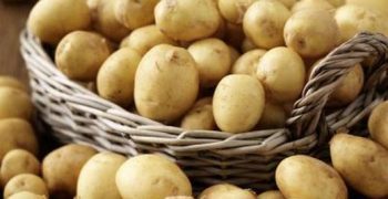 Poland to introduce mandatory country of origin labelling for fresh potatoes