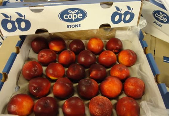 South African stone fruit exports down