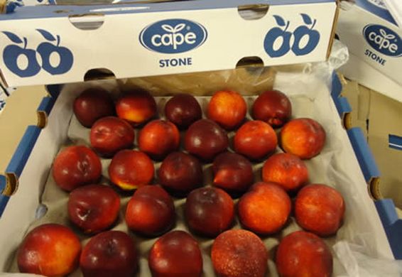 South African stone fruit exports down