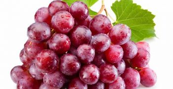 Spanish grapes gain access to Chinese market