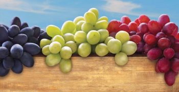 US government buys $10 million worth of Californian grapes