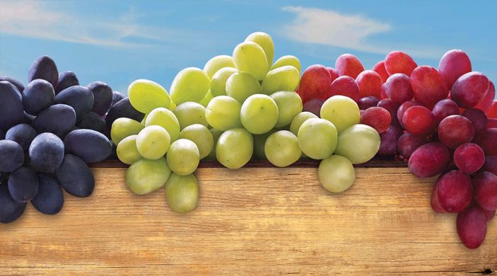 US government buys $10 million worth of Californian grapes