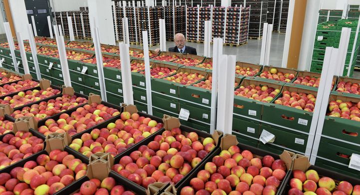 EU support for Polish apples – a demand to restore market balance