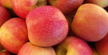 US apple and cherry exports latest casualties of trade wars