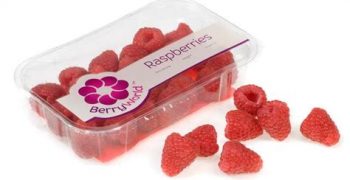 BerryWorld® celebrates 25 years of growing the berry world