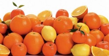 Widespread growth in Spain’s citrus production in 2017/18