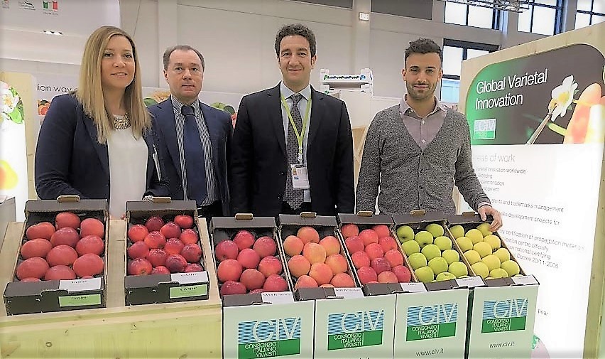 CIV’s strawberry Varieties at the next 2019 Global Berry Congress in Rotterdam, 25-27 March