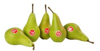 Migo® pears collaborate with Red Noses Clowns