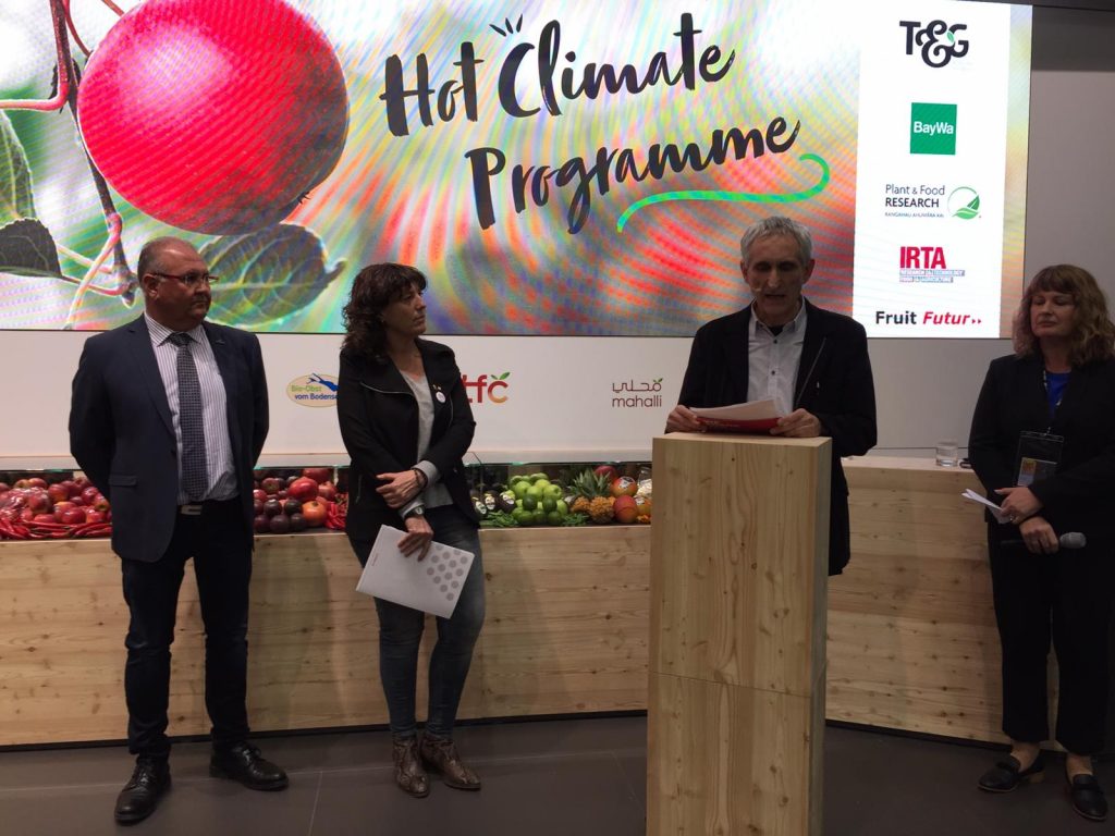 Poma de Girona develops apples for warmer conditions