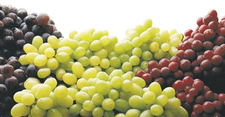 Spanish grapes to enter China
