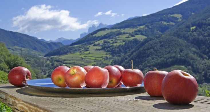 Large EU apple crop puts pressure on prices