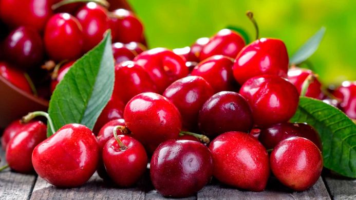 Rise in Bulgaria’s production of fruits and vegetables