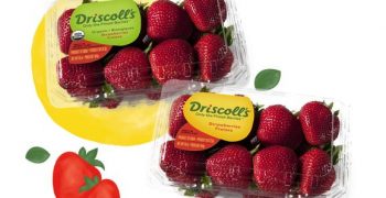 Driscoll’s takes CBC to court for alleged patent infringement