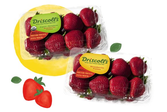Driscoll’s takes CBC to court for alleged patent infringement