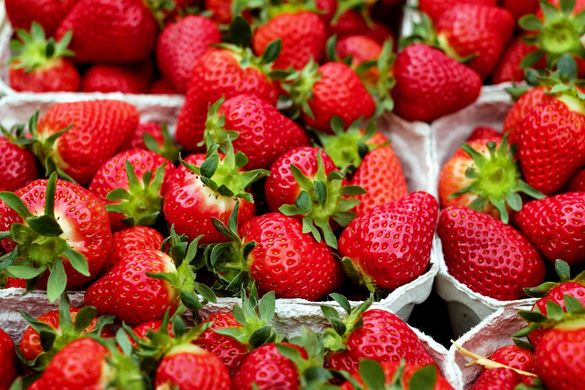 https://www.eurofresh-distribution.com/news/consumer-dissatisfaction-leads-slump-italys-strawberry-sales