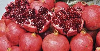 Peru’s pomegranate exports soar 40%