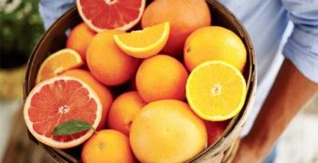 Sicilian oranges arrive in China to mark China-Italy pact
