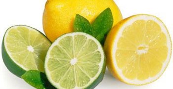 Spanish lemon crop returns to normal