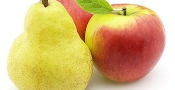 Argentina’s apple and pear exports rise despite smaller crop