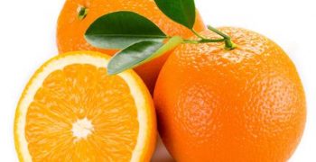 Global orange production up 9% in 2018/19