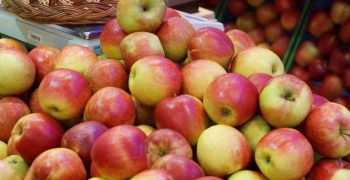 Russia’s apple crop projected to break 1.5 million-ton barrier