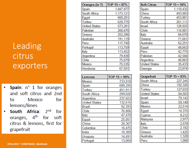 Citrus Summit South Africa: Freshfel Europe General Delegate presented global outlook for citrus