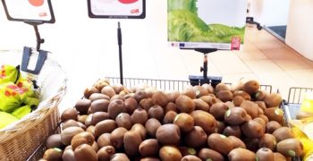 The European “Made in Nature” project brings Italian organic Kiwifruit to Germany