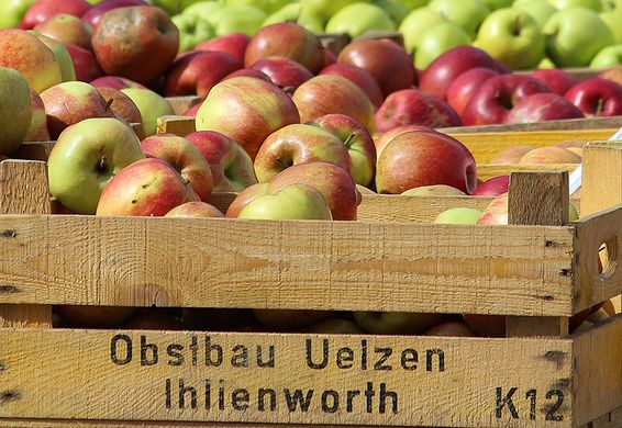 German apple market recovers during Lent