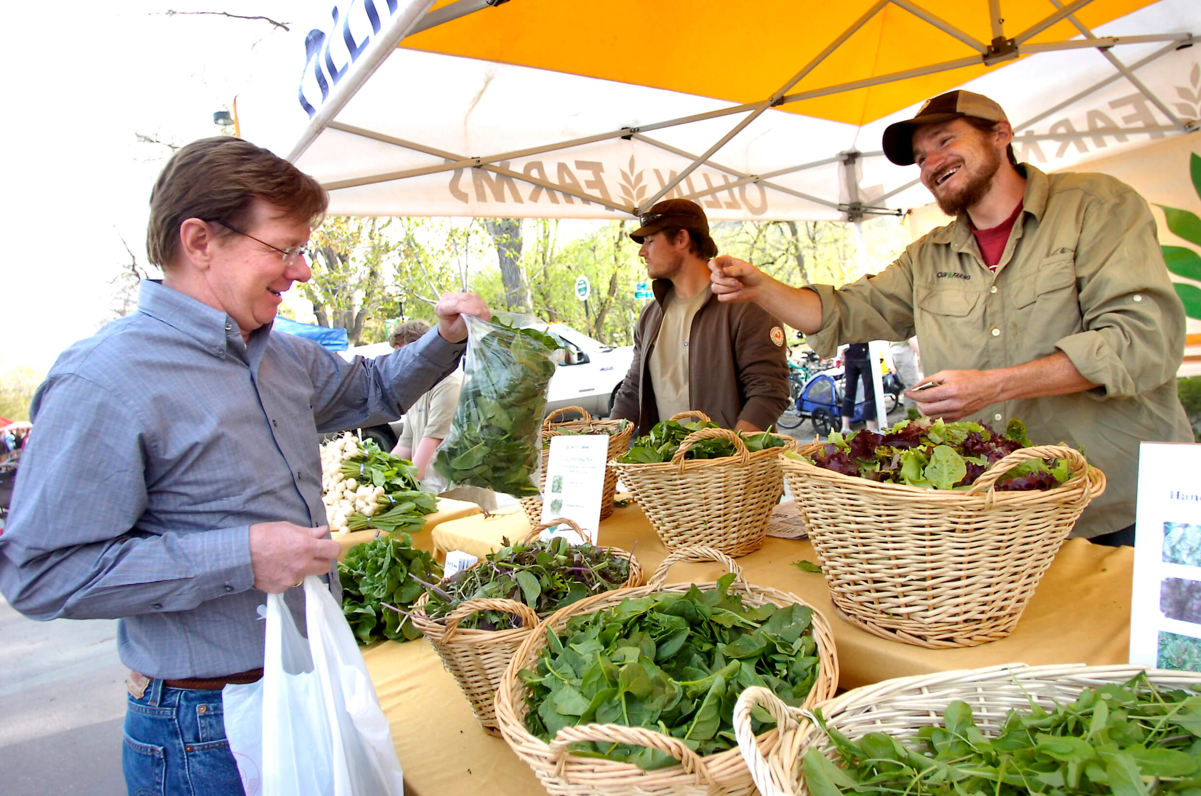 Buying locally not the answer