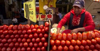 US to exit tomato trade agreement with Mexico