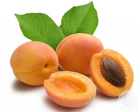 Hard times for EU apricot sector