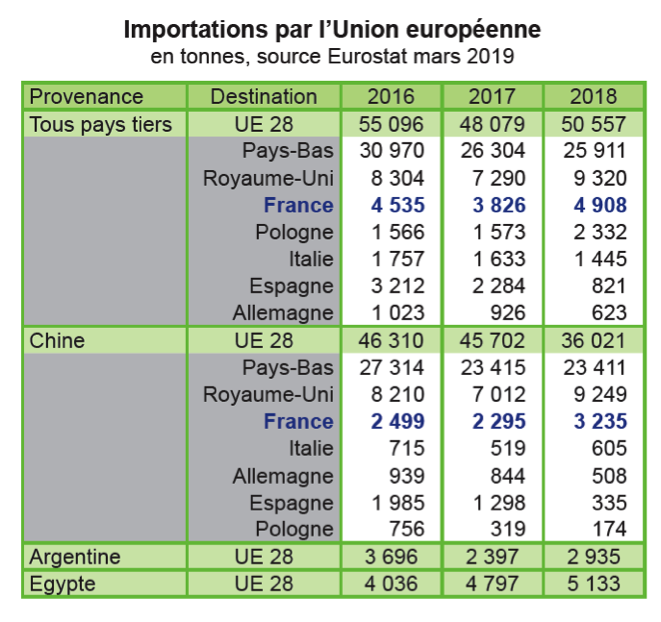 Drop in EU imports of Chinese garlic