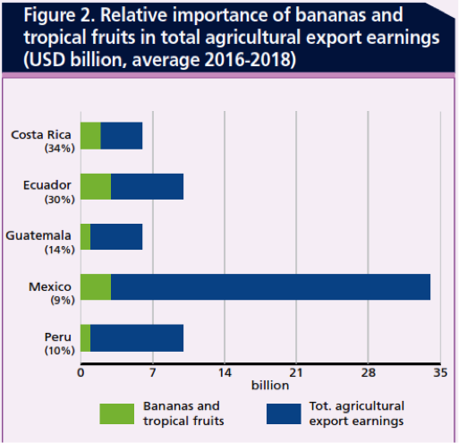 Latin American banana exports worth $5.6 billion