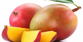 New EU regulations for mango imports