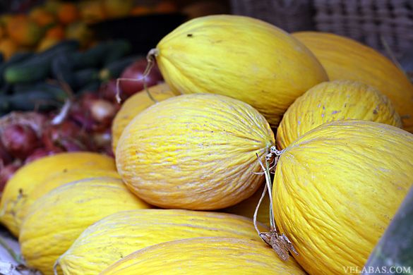 Good Moroccan melon crop expected
