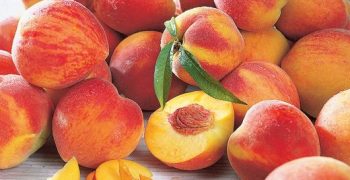 Contrasting fortunes for EU peach and nectarine producers